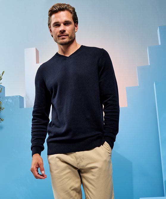 Men's cotton blend v-neck sweater